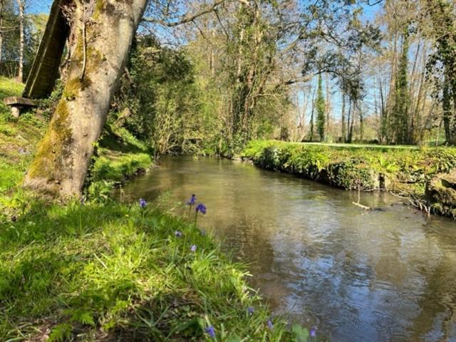 Le Moulin De La Castellerie Bed & Breakfast Moon-sur-Elle ภายนอก รูปภาพ