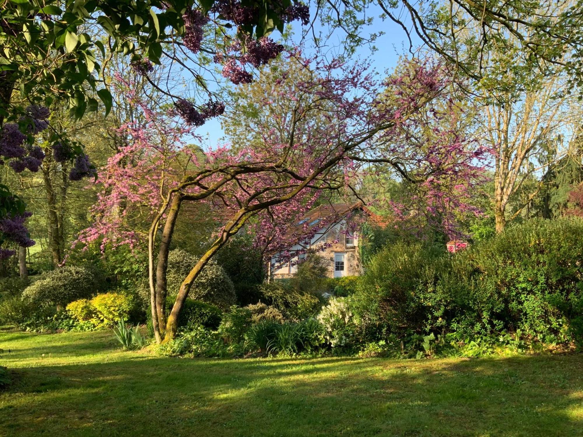 Le Moulin De La Castellerie Bed & Breakfast Moon-sur-Elle ภายนอก รูปภาพ