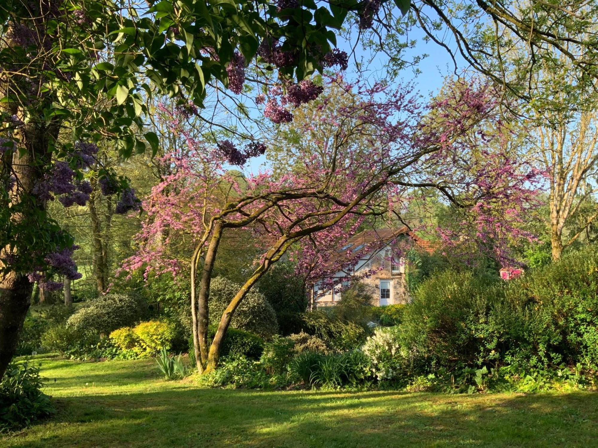 Le Moulin De La Castellerie Bed & Breakfast Moon-sur-Elle ภายนอก รูปภาพ