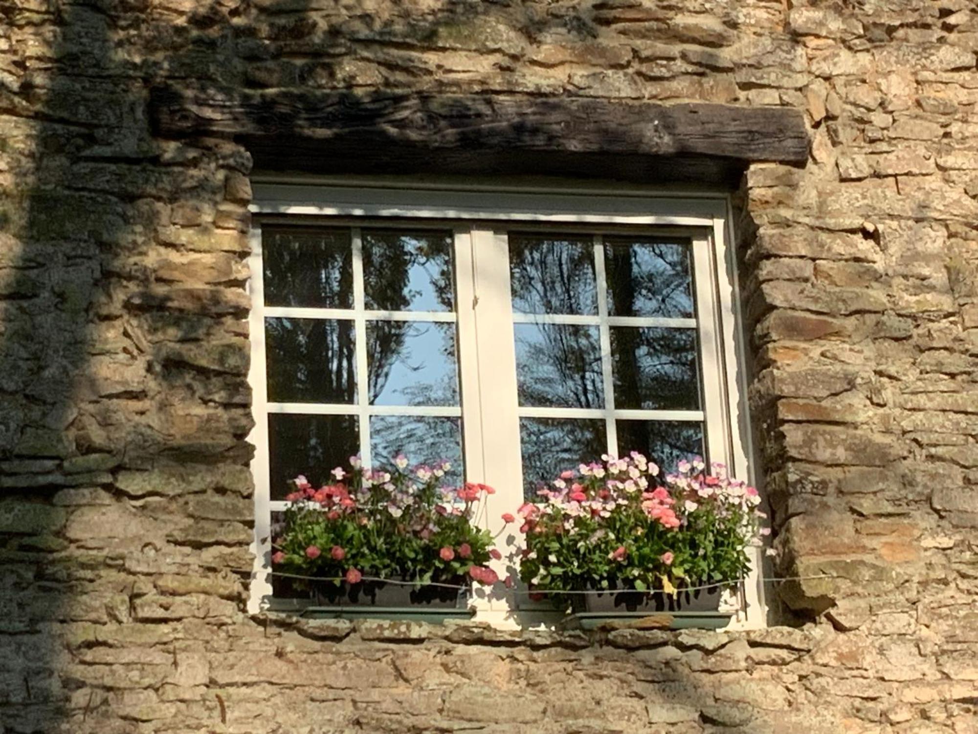 Le Moulin De La Castellerie Bed & Breakfast Moon-sur-Elle ภายนอก รูปภาพ