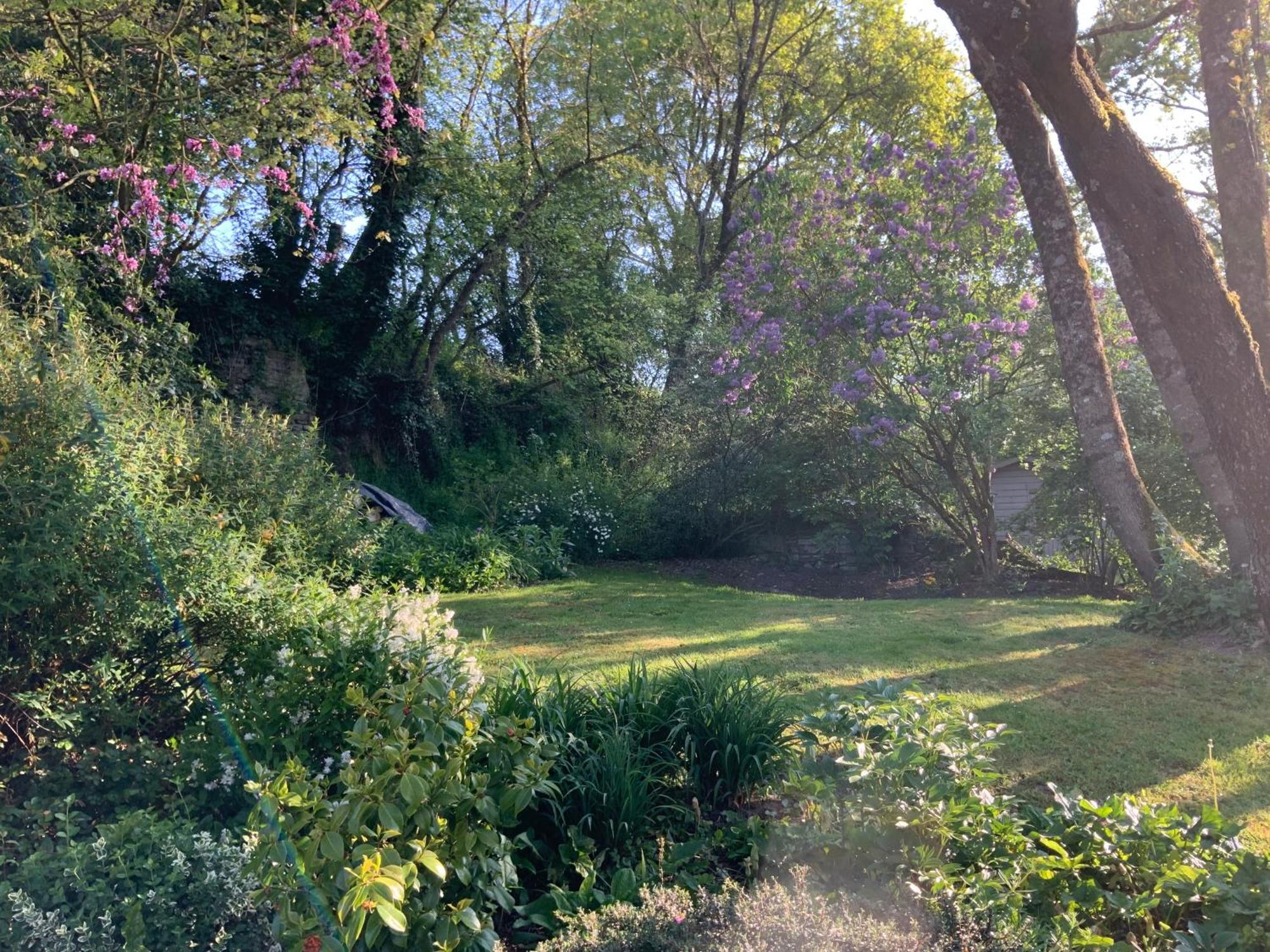 Le Moulin De La Castellerie Bed & Breakfast Moon-sur-Elle ภายนอก รูปภาพ