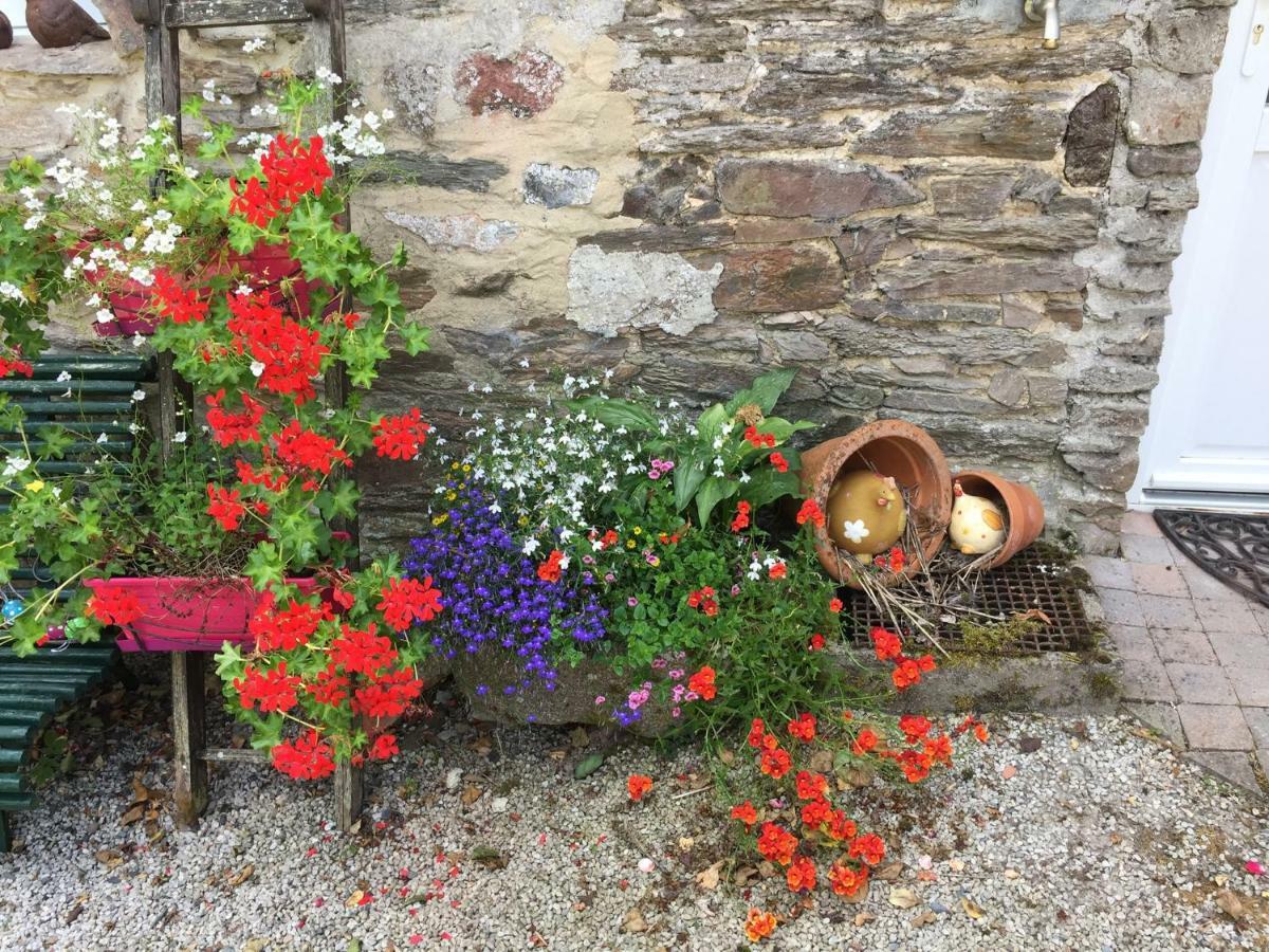 Le Moulin De La Castellerie Bed & Breakfast Moon-sur-Elle ภายนอก รูปภาพ